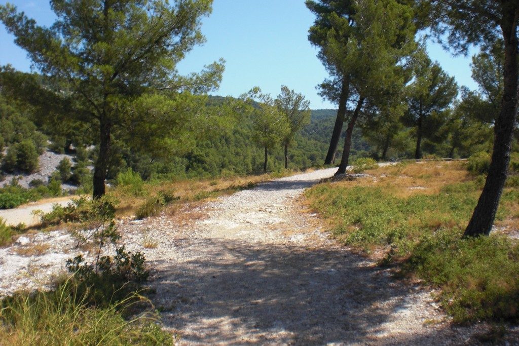 equipe-recommande-Sentier-a-La-Ciotat