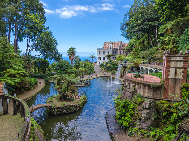 Jardin tropical à Madeira au Portugal