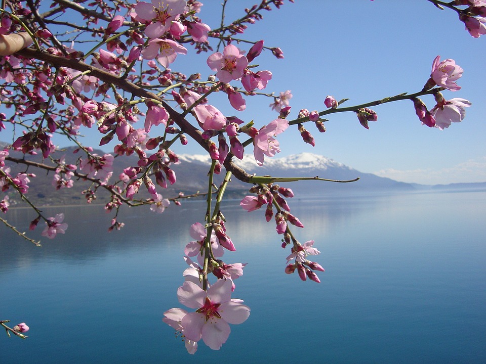 Bourget_plusbeauxlacsnatureldefrance