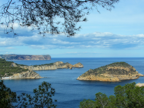 Plongée-sous-marine-Javea