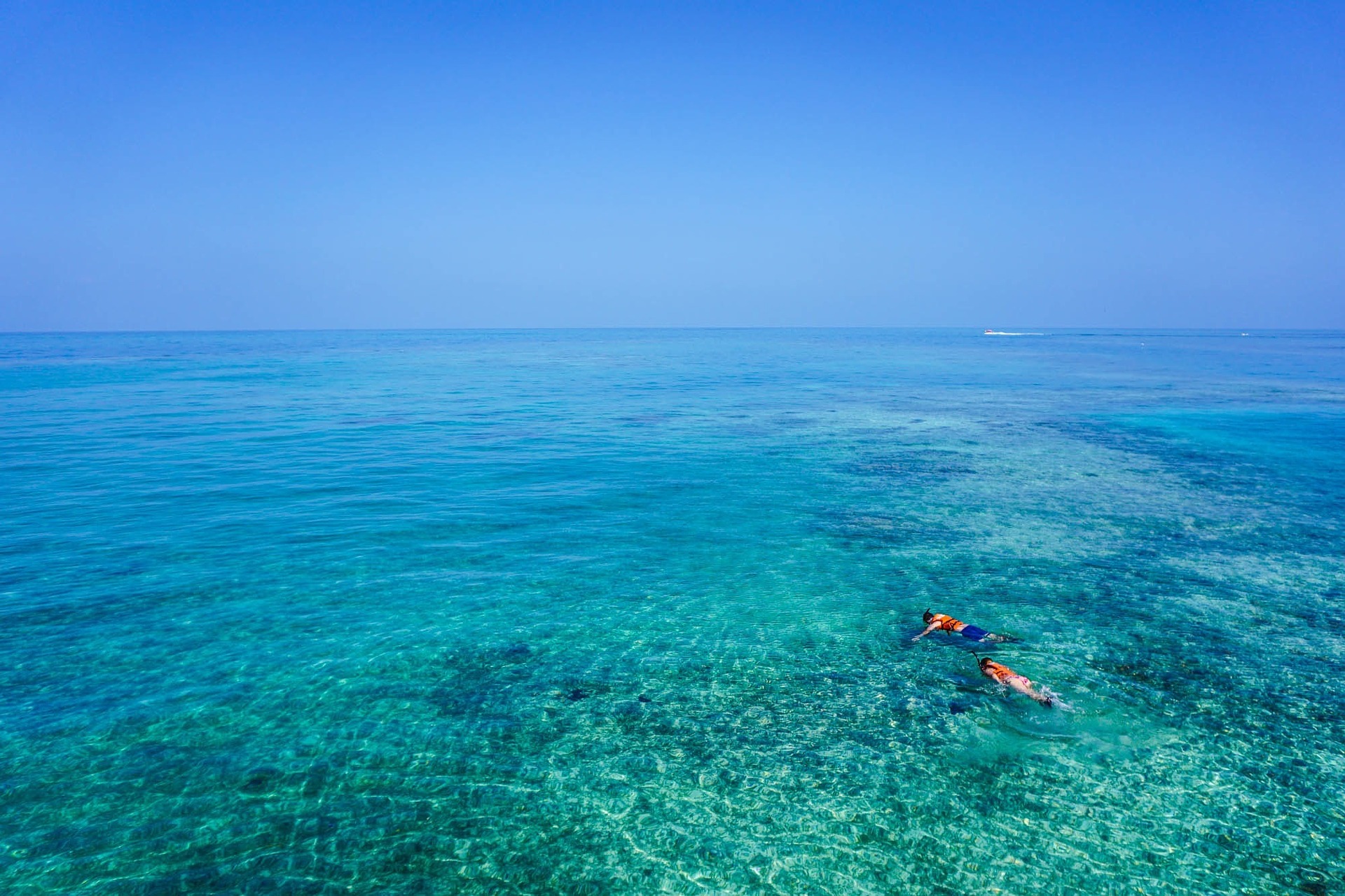 Plongée-sous-marine-Jávea-