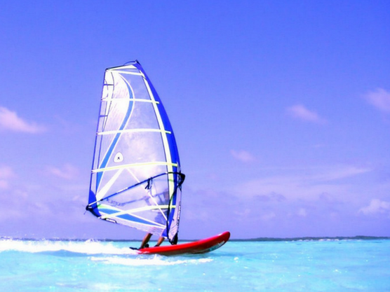 Le Windsurf est une des activités préférés des touriste 