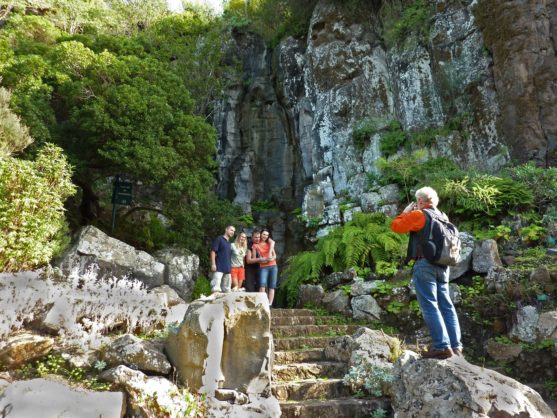 gran-canaria-con-niños-jardin-botanico-muchosol-e1518180564216