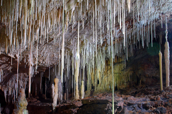 Coves de Campanet