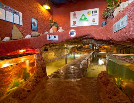 ibiza-con-niños-acuarium-muchosol-e1525357235199