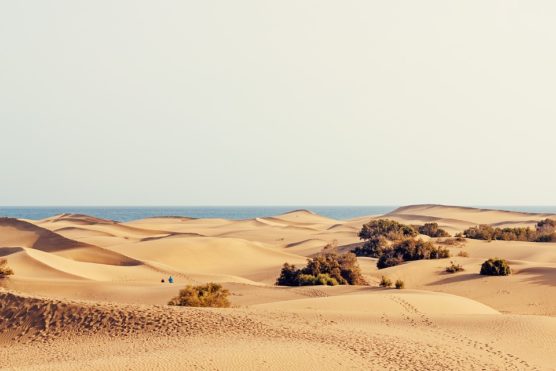 Les dunes de Maspalomas, Grande Canarie