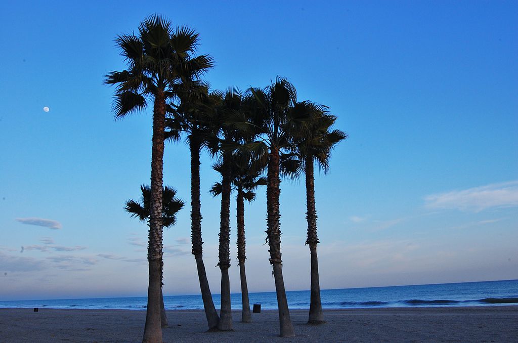 mejores-playas-de-la-Costa-Dorada-calafell-muchosol