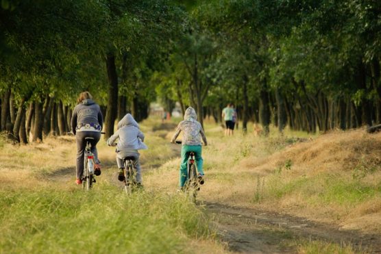 que-hacer-en-burdeos-con-bicicleta-vélo-muchosol