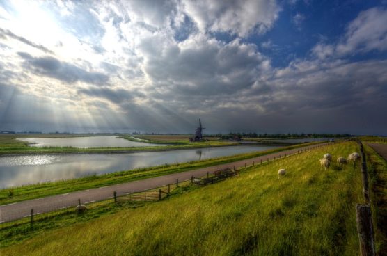 texel-destination-velo