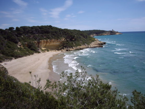 La Cala Fonda, aussi surnommée "Waikiki"