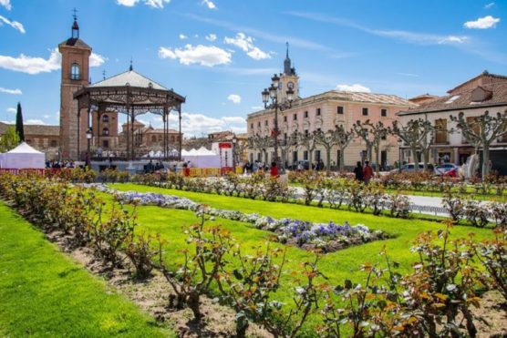 alcala-de-henares-muchosol