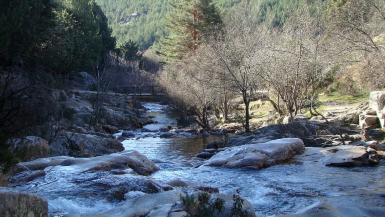 parc-national-Guadarrama-madrid