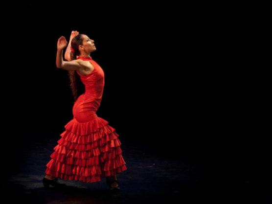 spectacle-flamenco-madrid-espagne