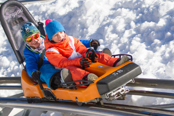 que-voir-alpes-chamonix-luge-alpine-coaster