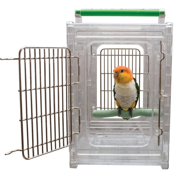 voyager-avec-animal-cage