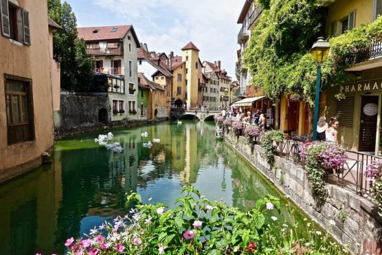 annecy-ville-fleurie-fleur-d'or