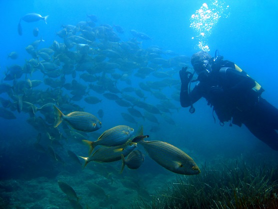 Estartit-plongée-costa-brava