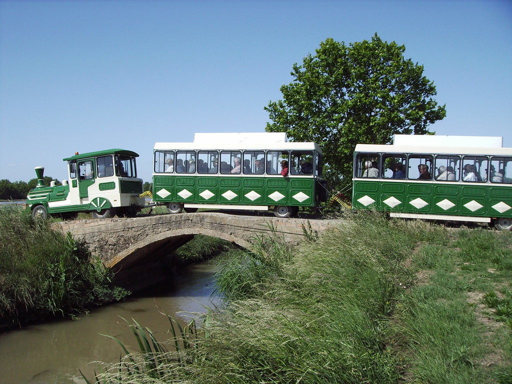 Que-voir-à-pals-train