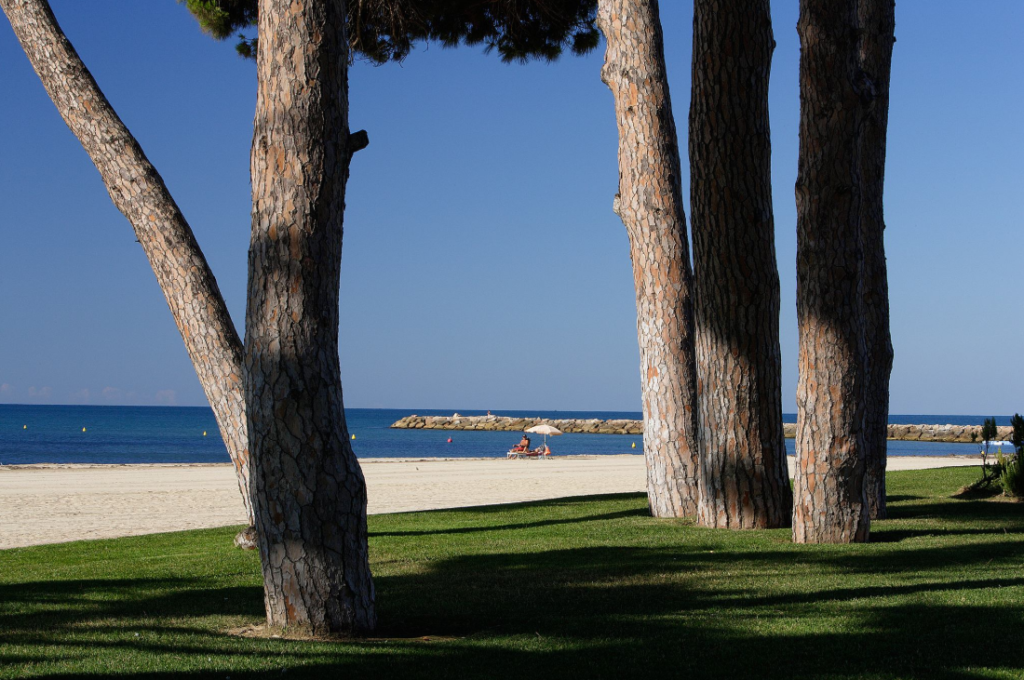 Les-plus-belles-plages-de-denia