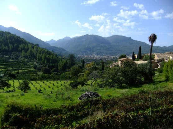 Vallée de Soller